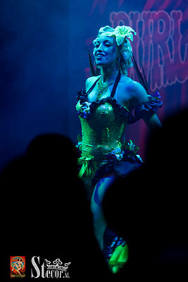 burlesqueshow at the International Burlesque Circus - the Exotic Sensations edition