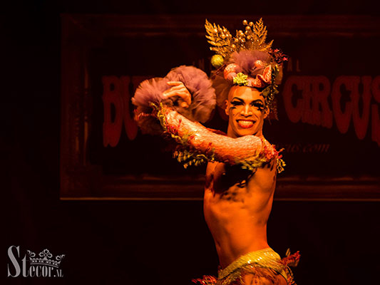 Luminous Pariah at the International Burlesque Circus, the Old Hollywood Glam edition