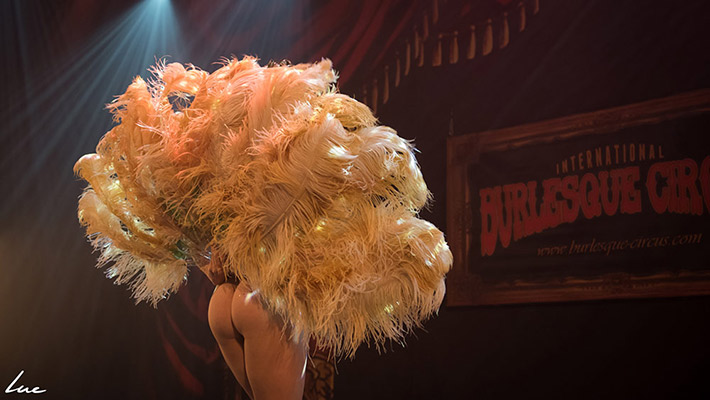 The Creatures of the Night Halloweeen edition of the International Burlesque Circus 2017 in Utrecht